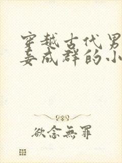 穿越古代男主妻妾成群的小说