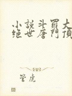 小说斗罗大陆2绝世唐门顶点