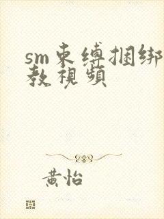 sm束缚捆绑调教视频