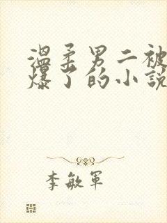 温柔男二被男主爆了的小说