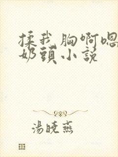 揉我胸啊嗯摸湿奶头小说