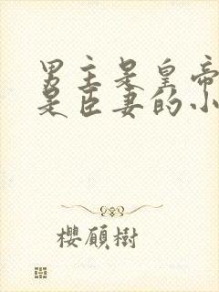 男主是皇帝女主是臣妻的小说