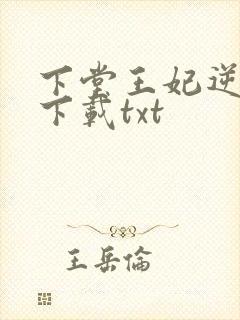 下堂王妃逆袭记下载txt