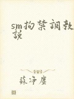 sm拘禁调教小说