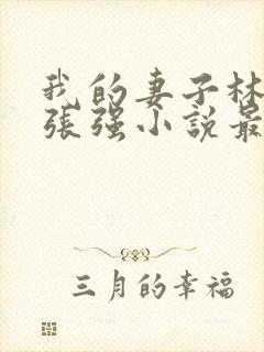 我的妻子林慧茹张强小说最新章节阅读