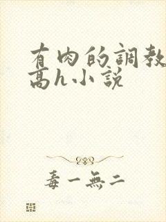 有肉的调教np高h小说