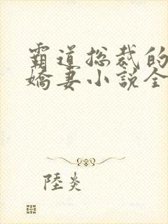 霸道总裁的独宠娇妻小说全文免费阅读