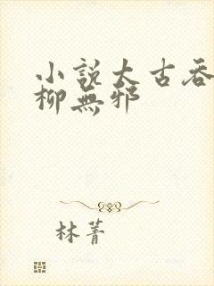 小说太古吞天诀柳无邪