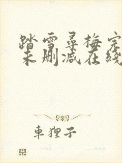 踏雪寻梅完整版未删减在线免费观看