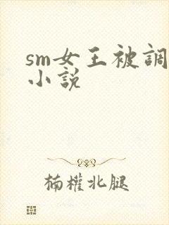 sm女王被调教小说封面