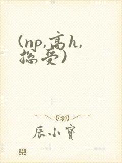 (np,高h,总受)