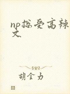 np总受高辣h文封面