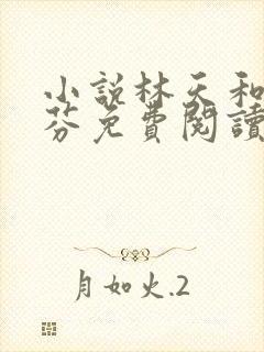 小说林天和赵秀芬免费阅读