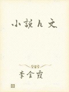 小说 h 文