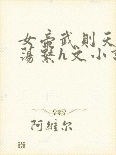 女帝武则天h放荡系h文小说