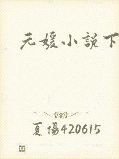 元媛小说下载封面