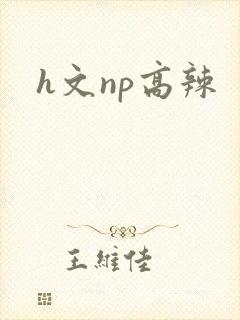 h文np高辣