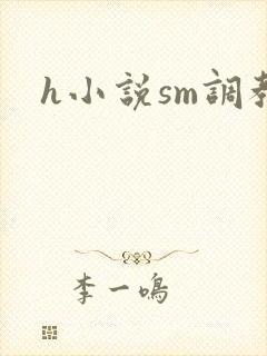 h小说sm调教