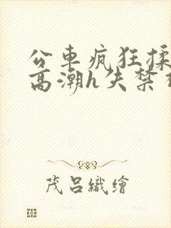 公车疯狂揉肉蒂高潮h失禁视频