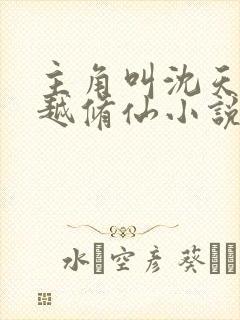 主角叫沈天的穿越修仙小说封面