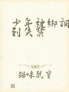 少年被绑调教爽到失禁