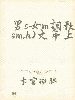 男s女m调教(sm,h)文年上