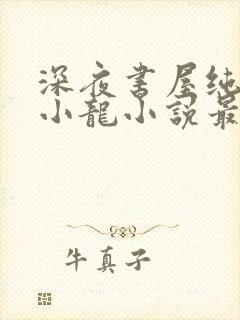 深夜书屋纯洁滴小龙小说最新章节阅续