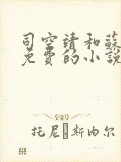 司空靖和苏月汐免费的小说最新章节