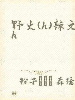 野火(h)辣文h