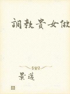 调教贵女做妾h封面