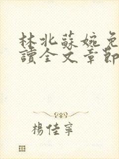 林北苏婉免费阅读全文章节