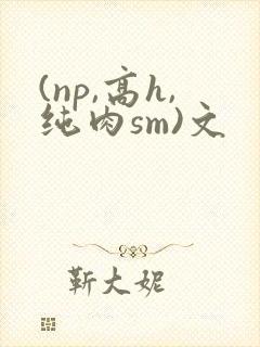 (np,高h,纯肉sm)文