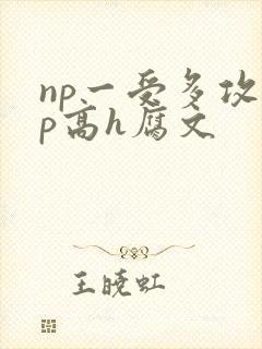 np一受多攻np高h腐文