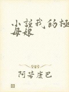 小说我的极品丈母娘