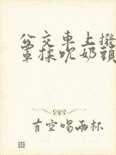 公交车上拨开奶罩揉吮奶头封面