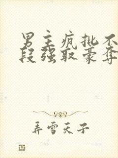 男主疯批不择手段强取豪夺的古言封面