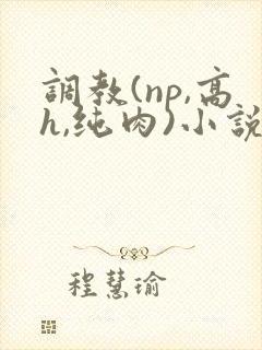 调教(np,高h,纯肉)小说