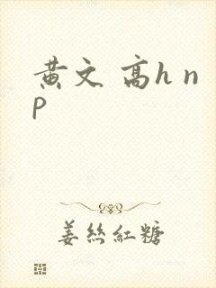 黄文 高h np