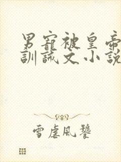 男宠被皇帝挨打训诫文小说