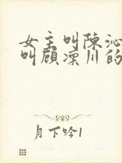 女主叫陈沁男主叫顾凛川的小说封面