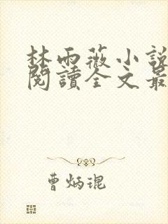 林雨薇小说免费阅读全文最新