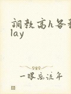调教高h各种play