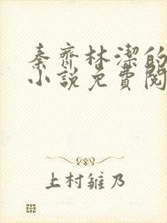 秦齐林洁的最新小说免费阅读全文封面