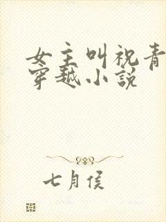 女主叫祝青苑的穿越小说