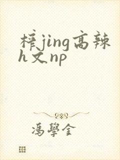 榨jing高辣h文np封面