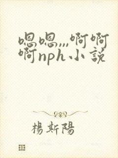 嗯嗯,,,啊啊啊nph小说