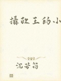 摄政王的小闲妻