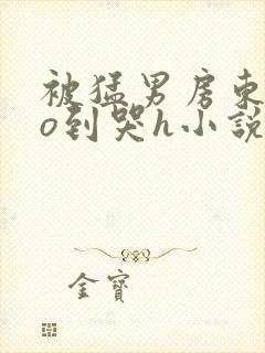 被猛男房东cao到哭h小说封面