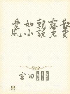 爱如朝露散若尘风小说免费阅读