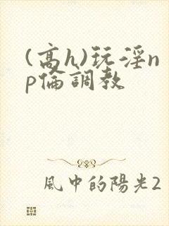 (高h)玩淫np伦调教